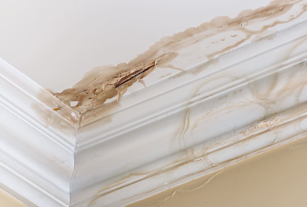 Interior ceiling corner with severe water damage and peeling paint, indicating a significant roofing leak.