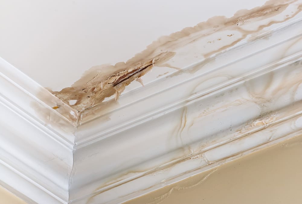 Interior ceiling corner with severe water damage and peeling paint, indicating a significant roofing leak.